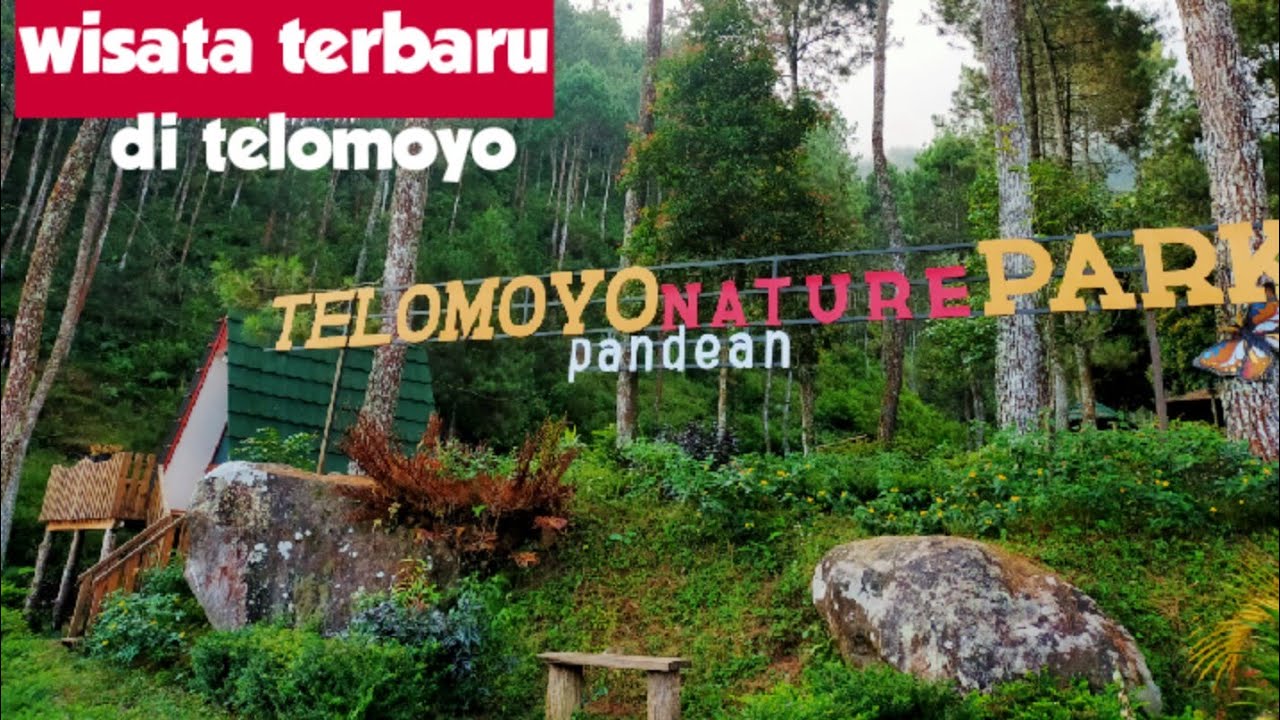 Telomoyo Nature Park: Pesona Alam yang Memikat